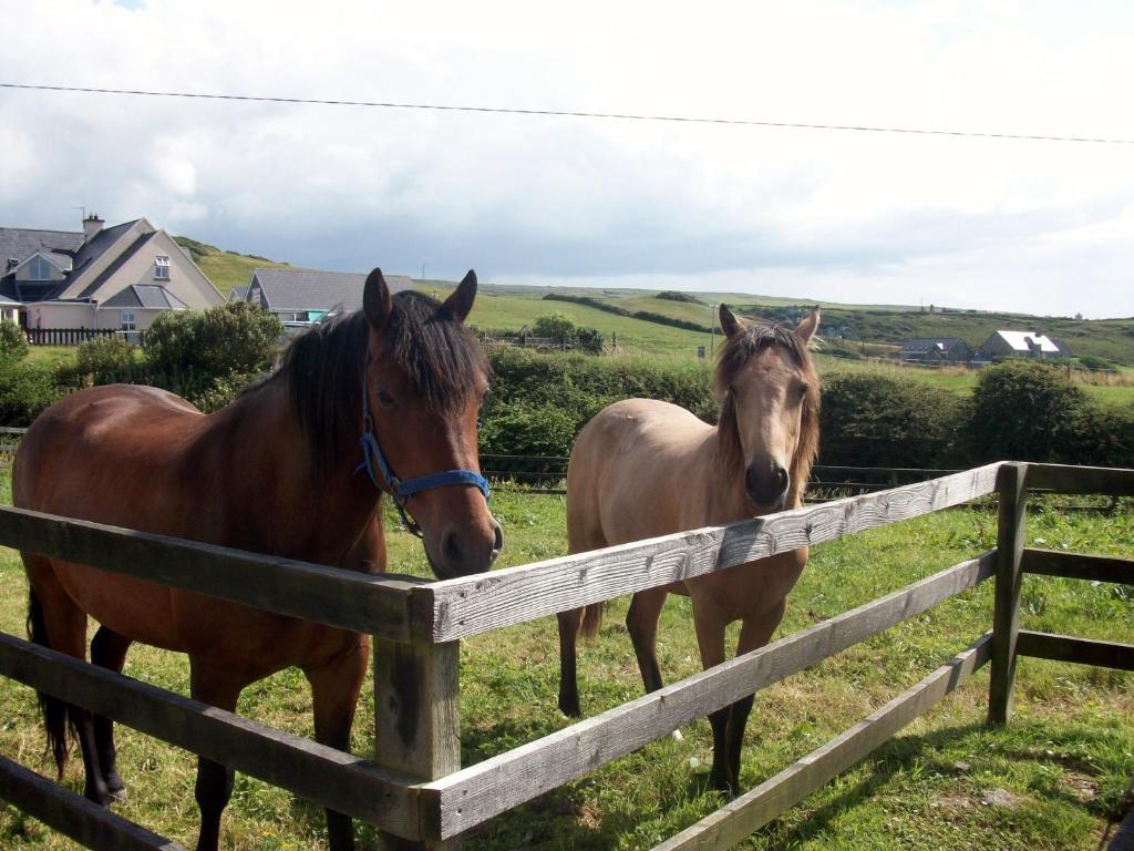 O'Connor'S Accommodation Doolin Extérieur photo