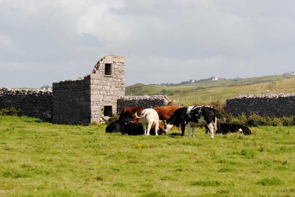 O'Connor'S Accommodation Doolin Extérieur photo