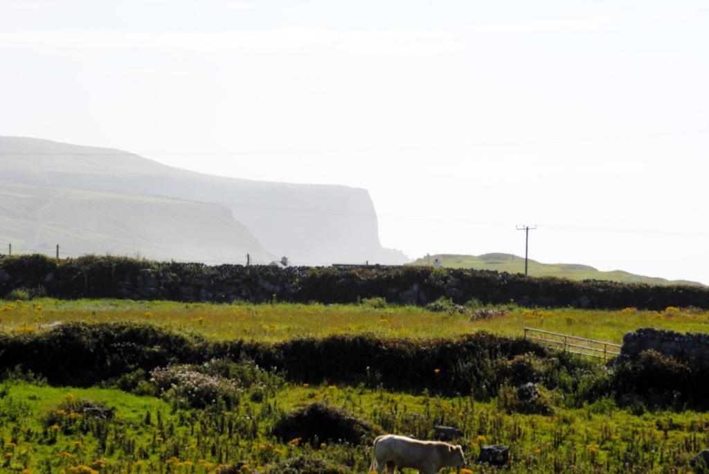 O'Connor'S Accommodation Doolin Extérieur photo